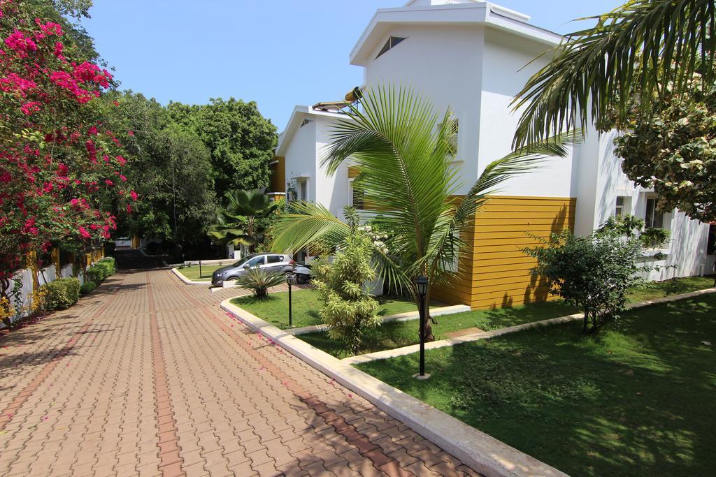 Rainforest - Casa Del Sol, Anjuna - 3 Kms From The Beach Kültér fotó